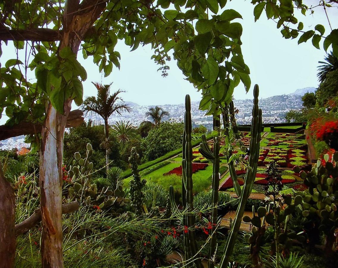 Apartment - The Historical Center Of Funchal In Alojamento Local Zewnętrze zdjęcie