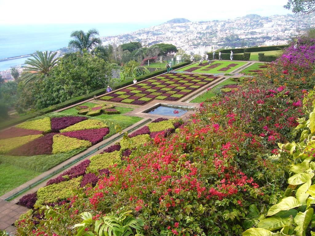 Apartment - The Historical Center Of Funchal In Alojamento Local Zewnętrze zdjęcie