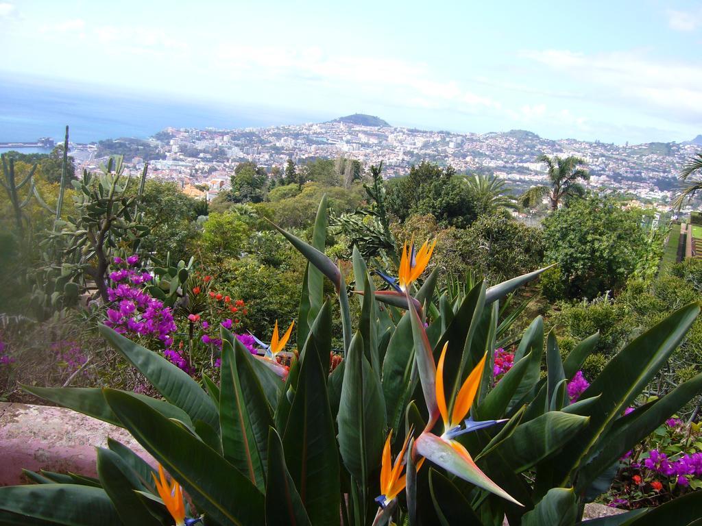 Apartment - The Historical Center Of Funchal In Alojamento Local Zewnętrze zdjęcie