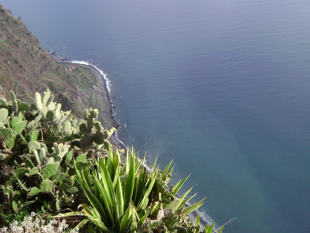 Apartment - The Historical Center Of Funchal In Alojamento Local Zewnętrze zdjęcie